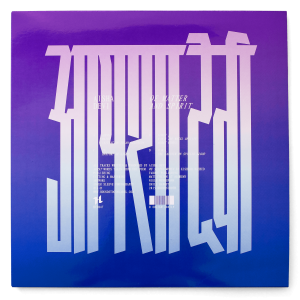 Aïsha Devi, “Of Matter and Spirit”, couverture de l'album (vinyl)