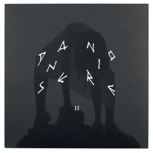 Danse Noire 011, Abyss X, Pleasures of the Bull vinyl, couverture