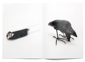 Annabel Aoun Blanco, Agathe Naïto, brochure