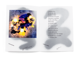 Œuvres de Pietro Castano et Valentin Carron dans la brochure de l'exposition de Simon Paccaud à la Ferme de la Chapelle