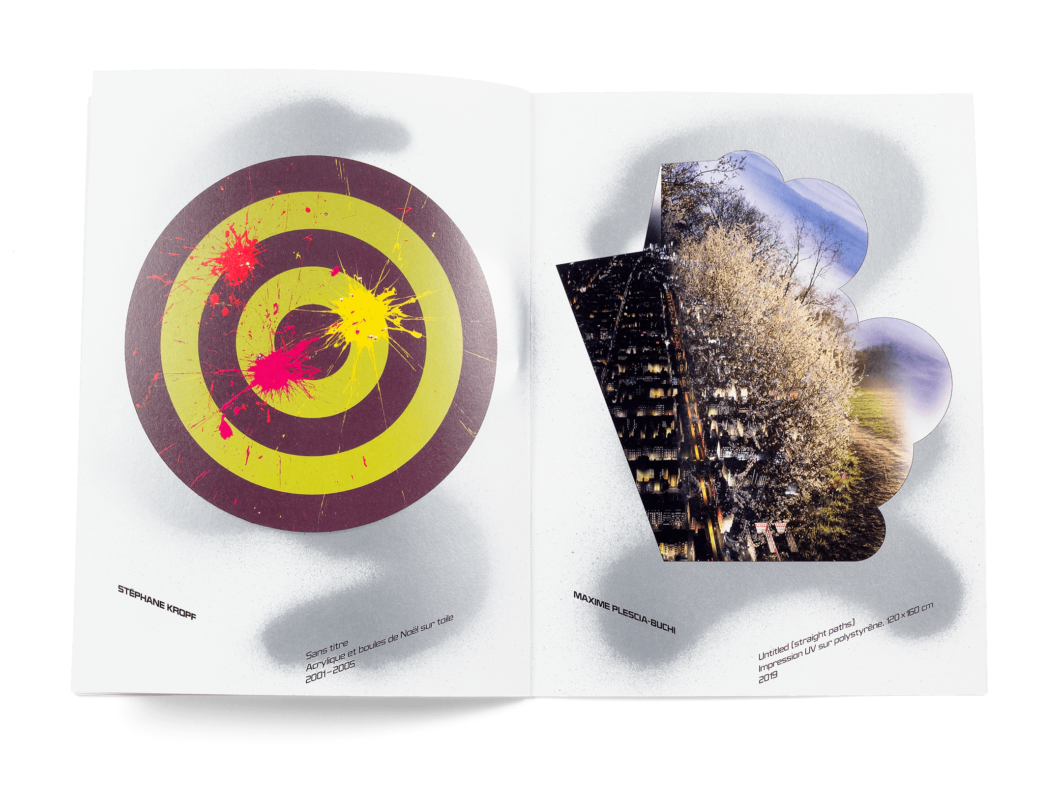Œuvres de Stéphane Kropf et Maxime Büchi dans la brochure de l'exposition de Simon Paccaud à la Ferme de la Chapelle
