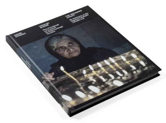 Couverture du livre “L’Aiglon blessé” de Demır Sönmez